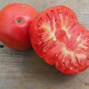 Wentzell tomato from Yonder Hill Farm