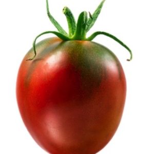 Amish Tomato Seeds Natural Seeds Canada