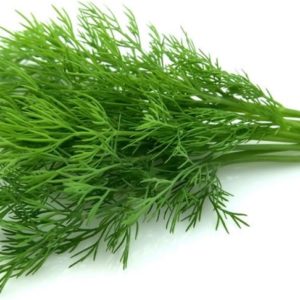 Hera Dill Seeds Natural Seeds Canada