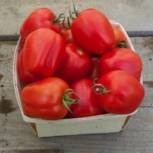 Heinz 2653 paste tomatoes from yonder Hill Farm