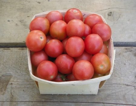 Pink princess cherry tomato from Yonder Hill Farm