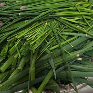 Welsh onion seeds from Fuschia Design Shop