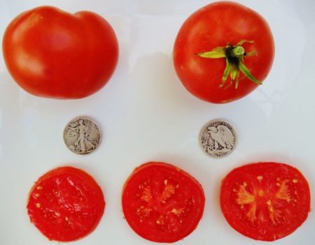 Bonny Best Heirloom Tomato Seeds - Over 40 Fresh Seeds Per Packet -Buy “ANY” 4 or more items and save 20% off your entire order! Just enter promo code Save20 at checkout -