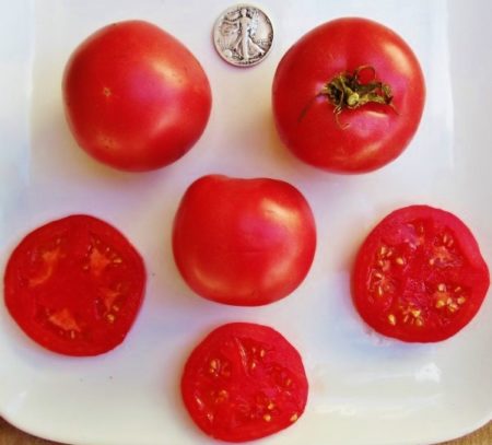 Eva Purple Ball Heirloom Tomato Seeds - Mid season - Over 40 Fresh Seeds Per Packet - Buy “ANY” 4 or more items and save 20% off your entire order! Just enter promo code Save20 at checkout