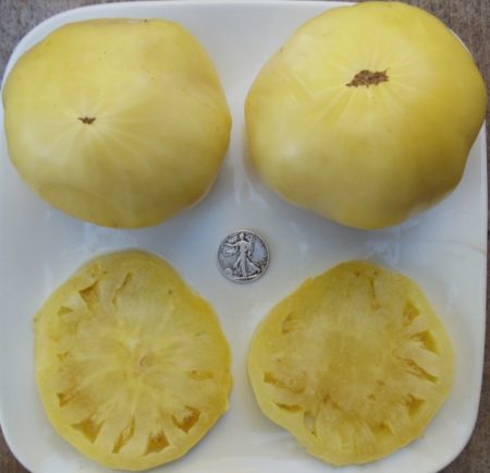 Great White Heirloom Tomato Seeds - Non Acidic Beefsteak - Over 40 Fresh Seeds Per Packet - Buy “ANY” 4 or more items and save 20% off your entire order! Just enter promo code Save20 at checkout