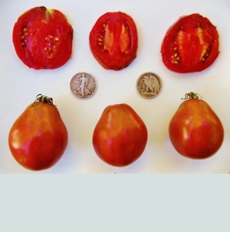 Japanese Black Trifele Heirloom Tomato Seeds - Over 40 Fresh Seeds Per Packet - Buy “ANY” 4 or more items and save 20% off your entire order! Just enter promo code Save20 at checkout