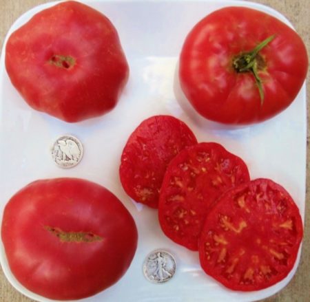 Pruden's Purple Heirloom Tomato Seeds - Beefsteak - Over 40 Fresh Seeds Per Packet - Buy “ANY” 4 or more items and save 20% off your entire order! Just enter promo code Save20 at checkout